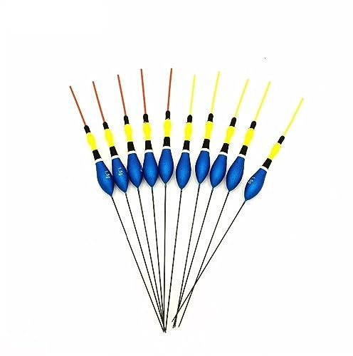 GRFIT Angelschwimmer 10 Teile/los Karpfen Angeln Float Set Long Tail 1,5G Auftrieb Angeln Zubehör Zubehör für Angelausrüstung
