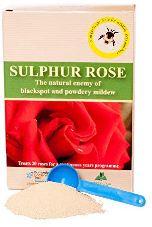 YouGarden - Sulphur Rose Tonic 250g, Granulated Powder Fertiliser for Rose Plants and Bushes, Promotes Growth, Enough Feed for 20 Rose Bushes for a Year