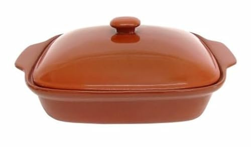Cazuela barro horno olla tartera besuguera rectangular o redonda hornear CON TAPA - HORNO - MICROONDAS - LAVAVAJILLAS - FUEGO DIRECTO (24X16X10 CM)