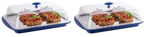 APS Thermo-Set 5-teilig – Hochwertiges Tablett-Set bestehend aus einer stabilen Schale, einem Edelstahl-Tablett, Zwei Kühl-Akkus und einer Frischhaltehaube (Packung mit 2)