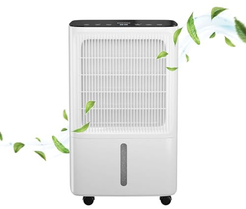 DMD Collective – 16L/Day Dehumidifier for Home Damp with Digital Humidity Display, 24H Timer, Continuous Drainage Dehumidifiers for Fast Drying Clothes, Ultra Quiet & Energy Efficient