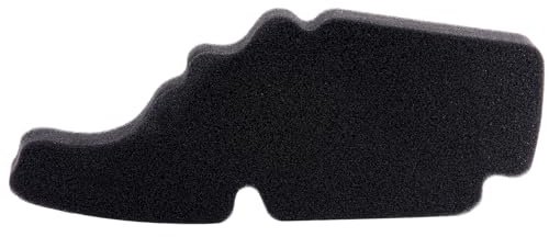 AHL Motocicleta 843194 Filtro de Aire compatible con VESPA Primavera 125 / PIAGGIO FLY 125/ TYPHOON 125 / Typhoon 50 4 Stroke/LIBERTY 125 / APRILIA Sportcity 50 125 SR50 Motard