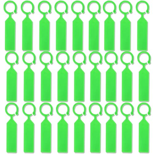 TopHomer Lot de 100 étiquettes à suspendre en plastique étanches pour plantes de jardin, semis, crèche, identification des plantes, enregistrement de transplantation, vert