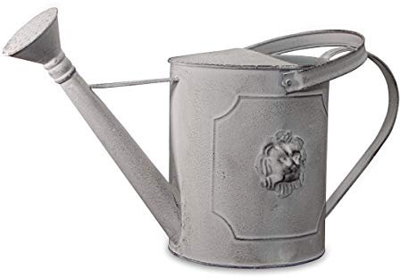 Antikas - Arrosoir en fer gris texturé lion