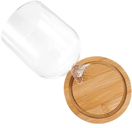 Veemoon Diy Flower Craft Glass Cover Display Dome for Dried Flowers Gypsophila Birds Wood Base