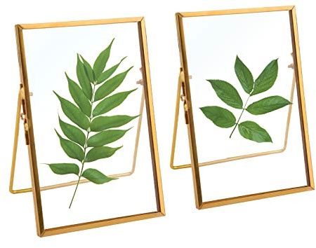 TLBTEK 2 Pcs 5x7 inch Desk double glass Photo frames kit,Gold brass metal Picture Frame vertical for Pressed Flowers,Clear DIY Vintage Artwork Display Frame