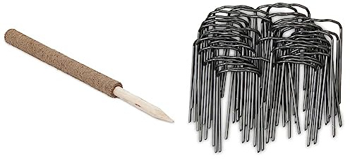 Windhager Pflanzstab Kokos & Pflanzenstecker für die Befestigung von Pflanzentrieben an Kokos-Pflanzstäben, Schwarz, 50 Stück, 06194 metallic
