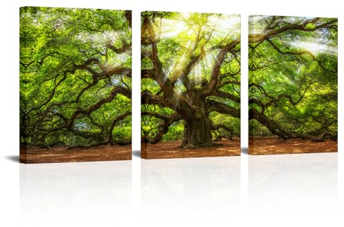 Conipit Angel Oak Tree Pictures Wall Art Green Oak Painting South Carolina Prints Framed and Stretched Natural Landscape Canvas 12''x16''x3