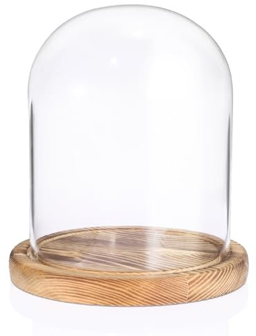 TOLIDA Cupola in vetro con base in legno naturale, robusta, decorativa, per lampade e candele, decorazioni per rose, antiquariato per Natale, compleanni, San Valentino