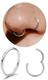 Diamday G23 Titanium Nose Rings Hoops 20G 18G 16G Seamless Hinged Nose Piercing Jewelry Hypoallergenic Click Septum Helix Rings Lip Cartilage Daith Conch Tragus Rook Belly Button Gold/Silver 8mm-10mm1