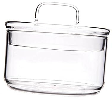 PHENOFICE Insalatiera Trasparente in Ciotola per Servire Frutta E Verdura per Dessert Salat Snack Facile da Pulire E Resistente