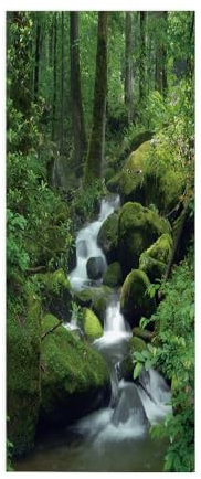 3D Türtapete Türaufkleber Selbstklebend Türfolie Poster Fototapete Türbilder Türtattoos Wasserdichte Tür Stickers für Kinderzimmer Wohnzimmer Badezimmer 70x200 cm Waldlandschaft