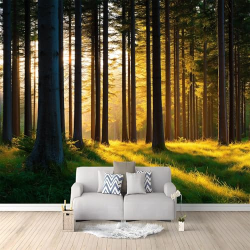 Fototapete Natur Wald 500x280 cm 3D Vliestapete Wandbild, Mustertapete Moderne Wandtapete, Wohnzimmer Schlafzimmer Kinderzimmer Büro Flur Wanddeko