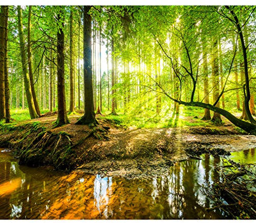 decomonkey - Papier Peint Panoramique Foret Nature 400x280 cm - Décoration murale moderne – Tapisserie décorative pour chambre salon - Lueur arbres paysage forêt nature rivière soleil eau