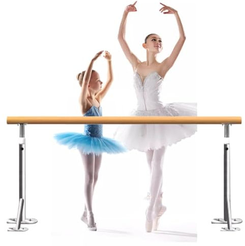 SnamicE Ballettstange für Erwachsene und Kinder, fest installierte Ballettstange für den Haushalt, an der Wand montierte Beinpresse aus Edelstahl, Tragfähigkeit 500 kg, 2,5 m (Bodenmontage 1,5 m)