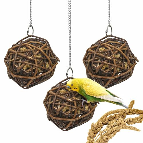 suruikei 3 Stück Kolbenhirse gefüllte Weidenkugel-für Vögel zum Kauen und Klettern – handgefertigt – Vogelkauspielzeug – für Papageien, Wellensittiche, Nymphensittiche, Kakadu (10cm)