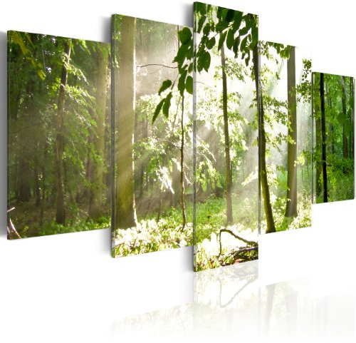 B&D XXL - Akustikbild 225x112 cm Bilder mit Akustikschaumstoff Hochleistungsschallabsorber Schallschutz Leinwandbild XXL 5 tlg Wandbild 030212-2