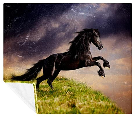 Schwarzes friesisches Pferd Gallop weiche gemütliche Überwurfdecke für Erwachsene und Kinder, leichte Mikrofaser-Fleecedecke für Couch, Bett, Sofa, Reisen, 150 x 200 cm