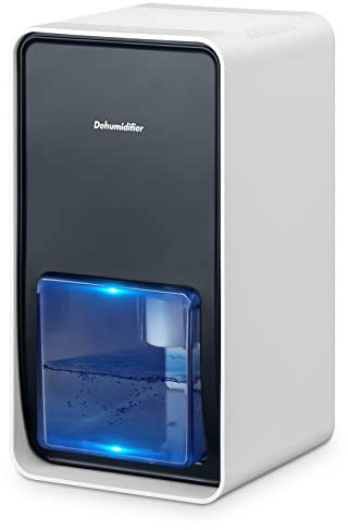 Aidodo Deumidificatore per Casa Muffa 1000ML,Deomificatore Piccolo D'Aria Mini Portatile,Auto-off, Deumidificatori Assorbire l'acqua 500ml/24h, Per Armadio Stanze Cantina Ufficio Camera da Letto