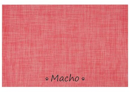 Hundematte mit individuellem Namen, personalisierbar, für Hunde und Katzen, Matte für Näpfe, personalisierte Futternapf-Matte (rot, 30 x 45 cm)