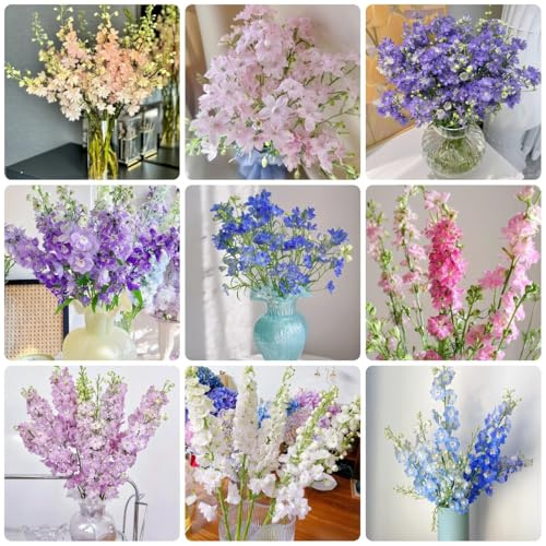Semi di Delphinium, Semi resistenti alle di Larkspur le da giardino roccioso sono resistenti regali da giardino 200pcs