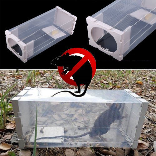 AOL RESTAURANT & KITCHEN Mouse Trap Humane Live Catcher Rat Vermin Rodent Cage Traps Pest