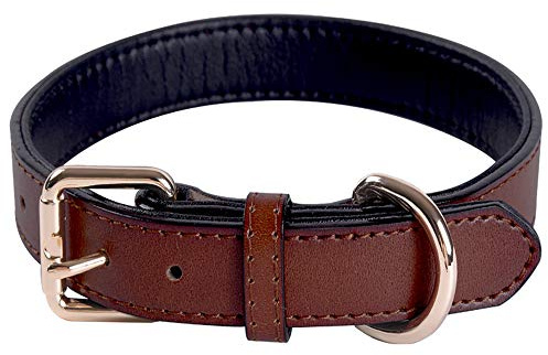 Echthaustierleder-Verstellbares Hundehalsband mit weichem, dickem Polster, am besten geeignet für kleine, mittlere und große Hunderrassen (Braun) (Größe Mittel)