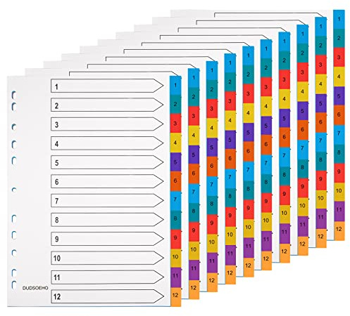 DUDSOEHO Trennblätter für Ordner A4 12-teilig - 10er-Packung Ordner-Trennblätter, farbiges Mylar für Aktenordner, poröse Mehrzweck-Indexteiler