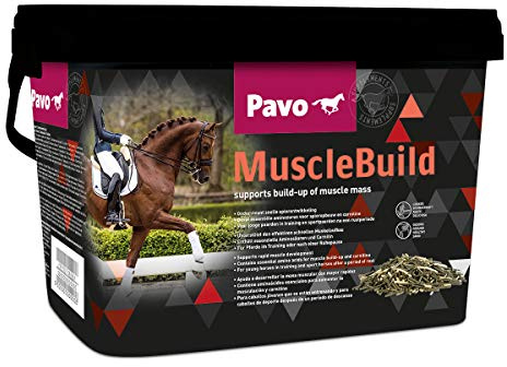 Pavo MuscleBuild | Für ein starkes und muskulöses Pferd | 3 KG