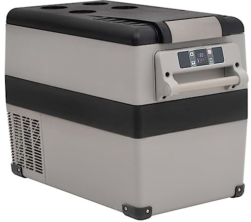 vidaXL Kühlbox mit Griff und Adapter, Gefrierbox mit viel Platz für Getränke, Eisbox mit effizienter Kühlung, Kühlschrank Gefrierschrank Getränkekühler, Schwarz und Grau 55 L PP PE