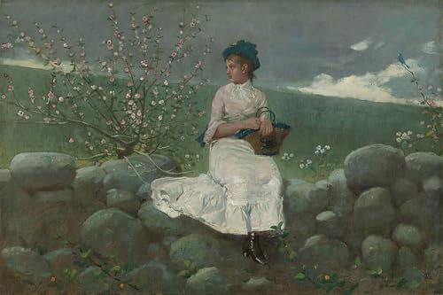 FIKAGXQGT Vintage Quadri Astratta della Poster Tela Immagini Fiori Di Pesco Di Winslow Homer per Decorazioni per la Casa 60x90cm