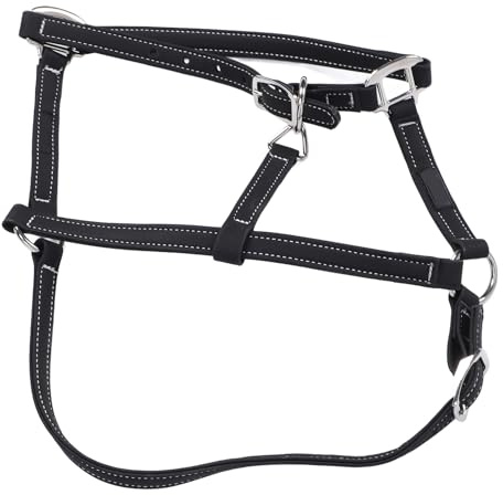 Baxnore Brida Ecuestre Brida de Caballo de Nailon Accesorio de arnés de Cabeza Ajustable para Entrenamiento de equitación Equipo de Control de tracción Fuerte, liviano y Duradero E (l)