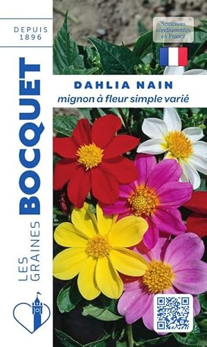 Sachet de graines de Dahlia nain Mignon varié - 1 g - fleur annuelle - LES GRAINES BOCQUET