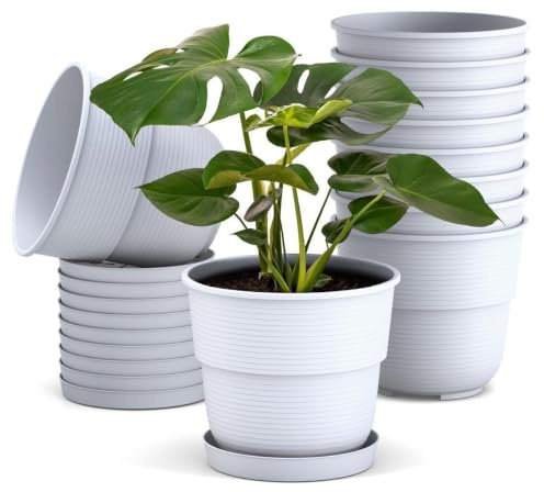 Plastard Blumentopf 10er Set Ø14 cm mit Untersetzer Weiß, Pflanzkübel | Witterungs- UV & frostbeständig, inkl. 12 cm Untersetzer, ideal für Garten, Balkon & Innenbereiche, Deko Pflanztopf 1 Liter