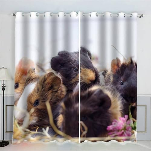 Vorhang Blickdicht Meerschweinchen Vorhänge Kind Gardinen Wohnzimmer Schlafzimmer Verdunklungsvorhänge Thermovorhang 3D Druck Schallschutz Vorhang mit Ösen 2er Set B 100 x H 160 cm a7724