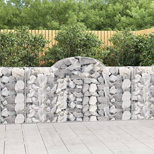 FUDUGEHMIOFWFJJ hochbeet Kunststoff,hochteich,pflanzkasten,Gabionen mit Hochbogen 12Stk. 200x30x100/120cm Verzinktes EisenGeeignet für Garten, Terrasse, Schlafzimmer, Wohnzimmer