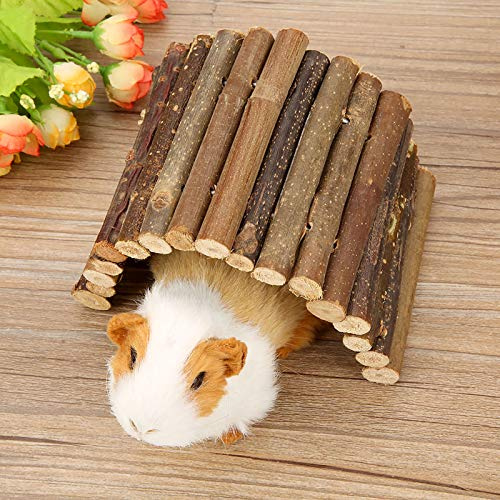 Tbest Criceto Bendy - Ponte in legno con scala per rettili, topi, roditori, piccolo animale domestico