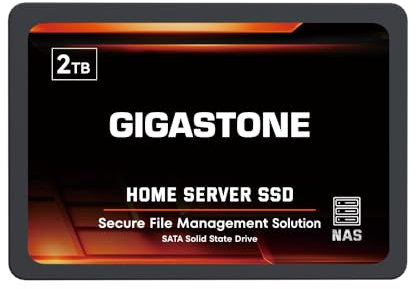 Gigastone Home Server SSD 2TB NAS SSD Drive Cache 24/7 Durevole TLC Ad alta resistenza Sincronizzazione dati cloud personale Network Attached Storage RAID 3D NAND 2.5 SATA Interni Hard Disk a stato