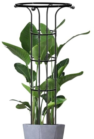 Obelisco de jardín, soporte para plantas trepadoras, resistente a la intemperie, enrejado para plantas pequeñas para interiores y exteriores, enrejado de jardín para plantas de interior y exterior