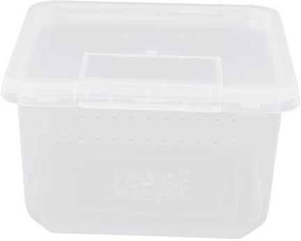 BESTonZON Reptilien Futterbox Kleiner Zuchtbox Aus Transparentem Kunststoff Mit Belüftung Anti Flucht Design Für Kleintiere Und Haustiere