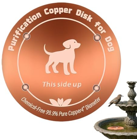 Baño para – Cuenco de Agua de Disco de Cobre Reforzado de 3,9 Pulgadas con Material metálico Duradero, baños para | Baño de de Cobre – para Alimentos para Mascotas