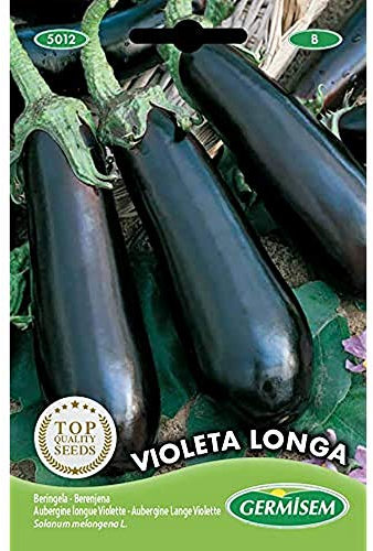 Germisem graines Aubergine longue Violette VIOLETA LONGA