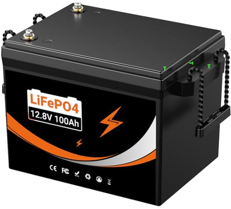 12V 100Ah LifePo4 con protección contra bajas temperaturas (12V 100Ah Lifepo4)