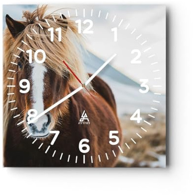 Modern Wanduhr Pferd Natur Tiere 40x40cm Quadrat Groß Wand Uhr Glas Analog Zimmeruhren Küche Büro Wohnzimmer Glasuhr Wall Clock Dekoration Design Wanddekoration Küchenuhr C4AC40x40-5304
