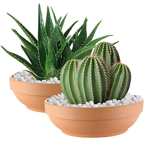 Macetas de Terracota para Plantas con Agujero de Drenaje, Paquete de 2 macetas Redondas Grandes de Arcilla, macetas de cerámica de Arcilla de 8.66 Pulgadas, macetas de Cactus