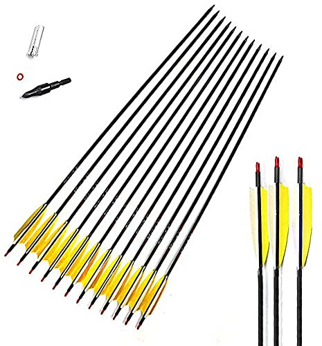 12pcs Longueur Personnalisée Flèche Carbone pour Environ 40 Lb Arc Recurve Diamètre Intérieur 6.2mm .244 22-33 Pouces Spine 250 300 340 400 500 600 700 800 Adulte Jeunesse Chasse et Entraînement