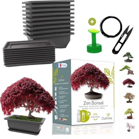 Cultivea - Duo-Set Bonsai Mini Set fertig zum Anbau 6 Bonsai + 10 Töpfe mit Zubehör - Ökologische Samen Made in France - Anbau, Pflege & Dekoration - originelle Geschenkidee für den Garten