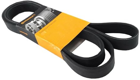 Continental Keilrippenriemen 7PK1236 passend für Ducato