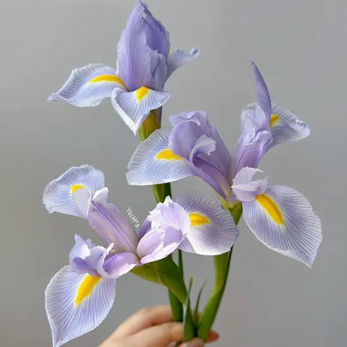 Semi di Iris tectorum di esotiche Gli iris sono perenni resistenti, Le sono perenni resistenti da balcone rustiche 120pcs