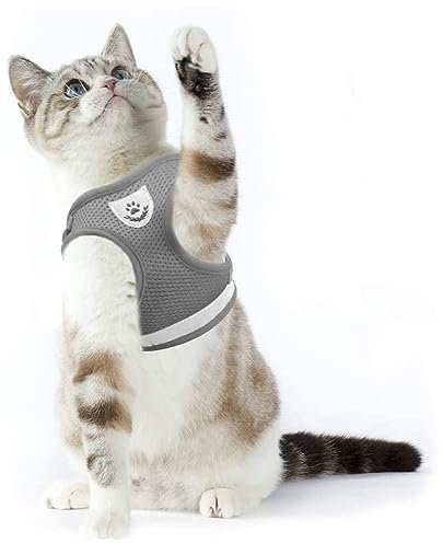 Supet katzengeschirr mit Leine ausbruchsicher,katzenleine mit Geschirr für Katzen,Verstellbar cat Harness Weich Katzen Weste für kleine Kitten Hunde (Grau,S (Brustumfang: 26-32 cm))